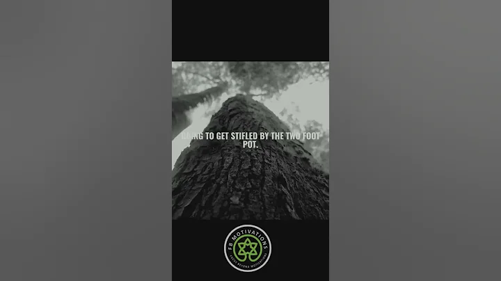 BREAK FREE OF YOUR ENVIRONMENT!! Steve Harvey’s Epic Motivational Speech.