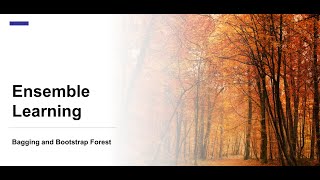 5.2 Decision Trees: Ensemble Learning: Bagging and Bootstrap Forest