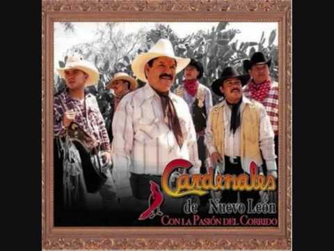 los cardenales de nuevo leon -  me olvidaste( en vivo)