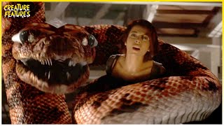 Boa vs. Python | Boa Constricts Eve | Creature Features