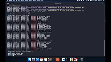 Taint Analysis Tool Demo
