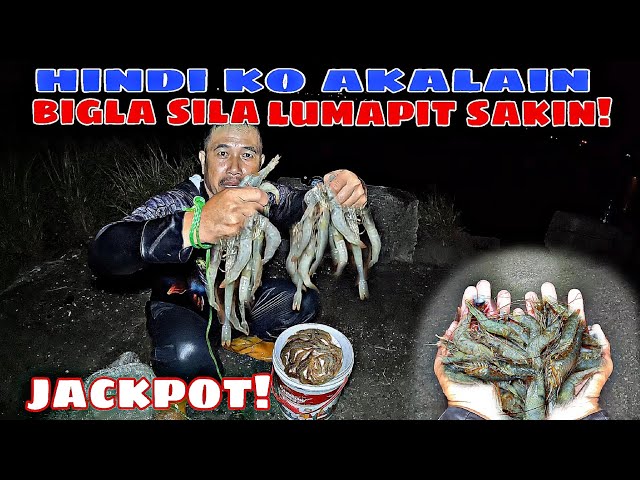 UMULAN NG HIPON SA DAGAT NG TAIWAN!!! SOBRANG DAMI NILA KUSA NA SILANG LUMALAPIT SA AKIN!! JACKPOT!! class=