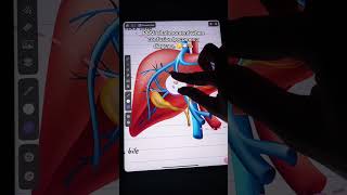 App: ZoomArt #anatomy #medicosstuff #ipadnotes #art #studywithme #digitalart #notetakingapps