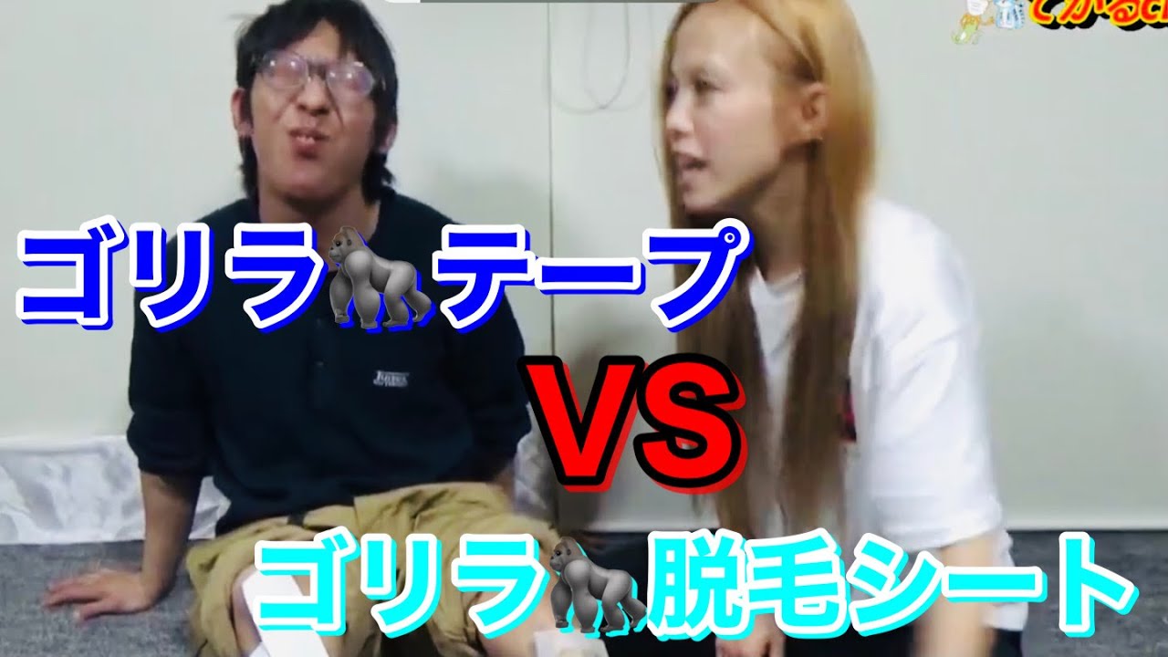 ゴリラvsゴリラの対決 どっちのゴリラが強いのか Youtube