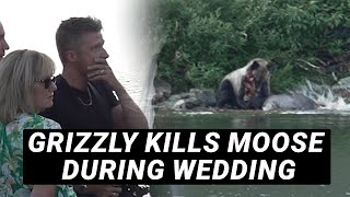 Grizzly Bear Kills Moose During Wedding  The Wedding Videographer's Take