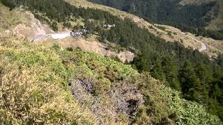 1040402石門山玉山杜鵑花況 2