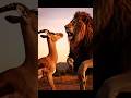 Animals freestyle battle #newmusic #music