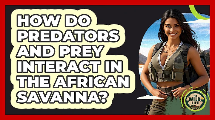 How Do Predators And Prey Interact In The African Savanna? - The Wild Life Explorer
