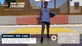 Level 2 - BTL Continuous