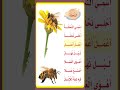نشيد النحلة الصف الأول الإبتدائي بصوت المبدعه ريتاج 