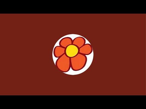 Орхидейный мега маркет