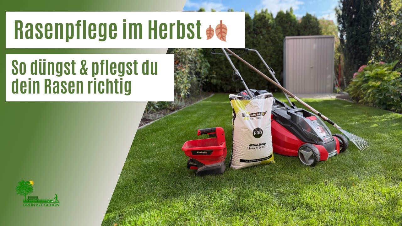 Rasenpflege im Herbst 🍂 | So düngst & pflegst du deinen Rasen im Herbst richtig