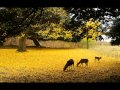 君に贈る歌
