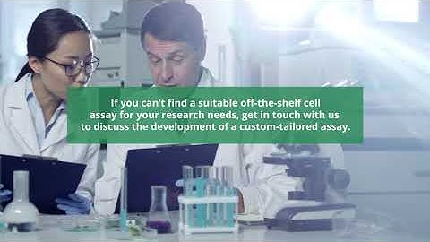 Cell Based Assays for Anti Cancer Drug Discovery | Reaction Biology Corporation