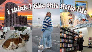 a simple day in my little life *book shopping, watching the sunset, apartment updates, & a sick pup*