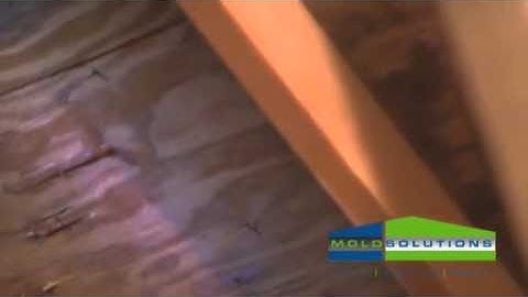 Mold Solutions of Chicago - Attic Video