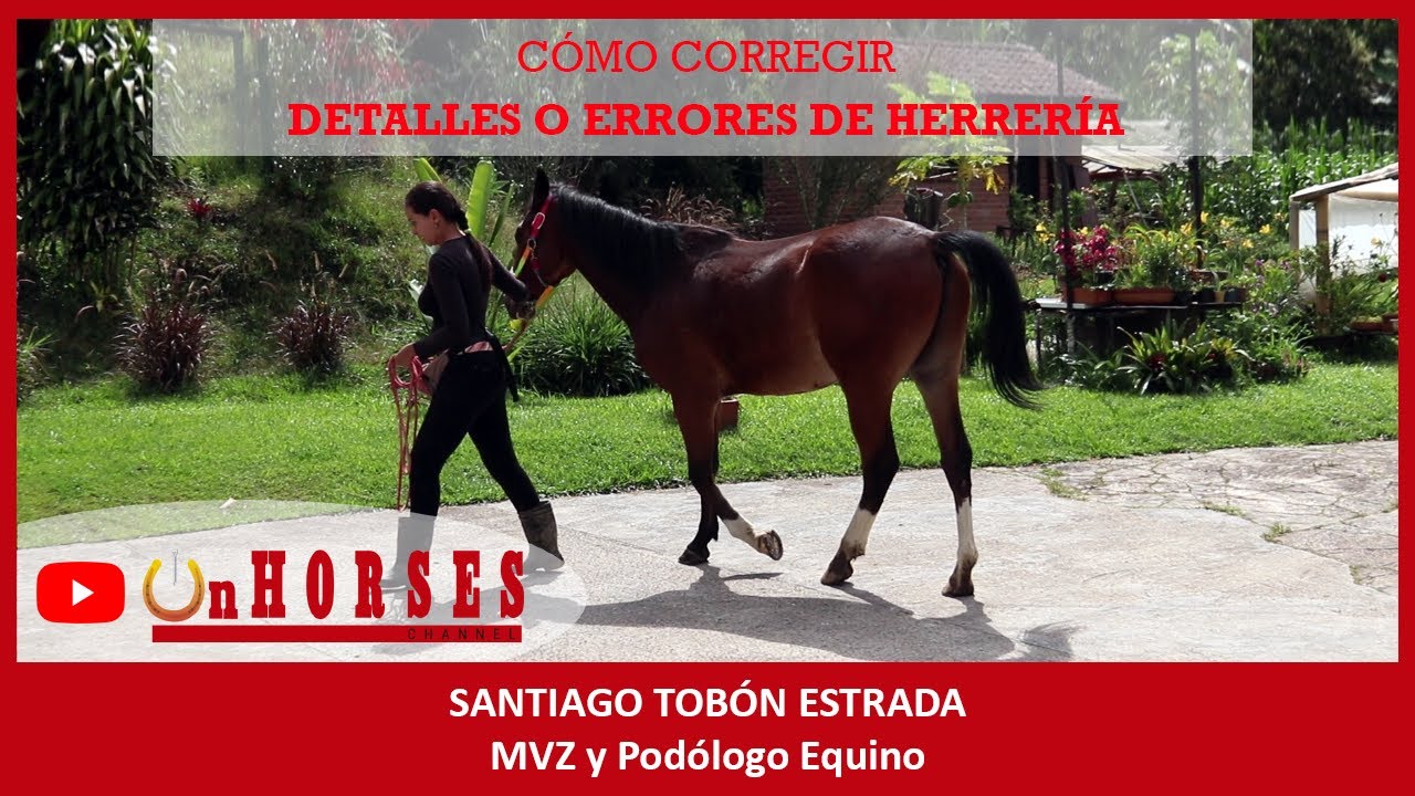 CÓMO CORREGIR DETALLES O ERRORES DE HERRERÍA? | On HORSES Channel | Santiago Tobón Estrada