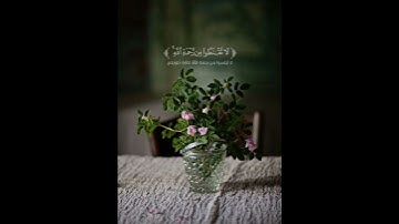 سورة الزمر الآيات { ٥٣ - ٥٤ } #quran #اكسبلور #المصحف #shortvideo #راحة_نفسية #لايك #حالات_واتس #تصم