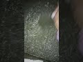 Cohesive Concrete Cohesive Concrete