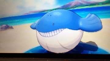 Pokémon omega Ruby episode one; how to catch Wailmer and Tentacool