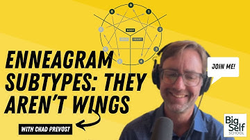 Enneagram Subtypes: Unveiling How Instincts Function Through Our Personality Type