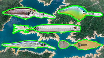 Where Do Bass Go In Fall? Beginner To Advanced (How To Catch Them)