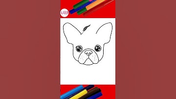 Cute French Bulldog Puppy Drawing – Easy and Fun for Kids! #Lidoartworks