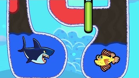 Giải Cứu Cá Vàng 🐠 Giải Đố Trò Chơi Save The Fish - Level 1509-1514