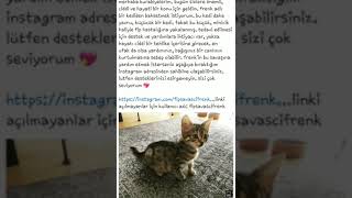 Yardım Eden Yok Mu Bu Şirine