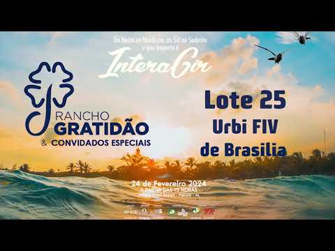 Lote 25   Urbi FIV de Brasilia   RRP 8797