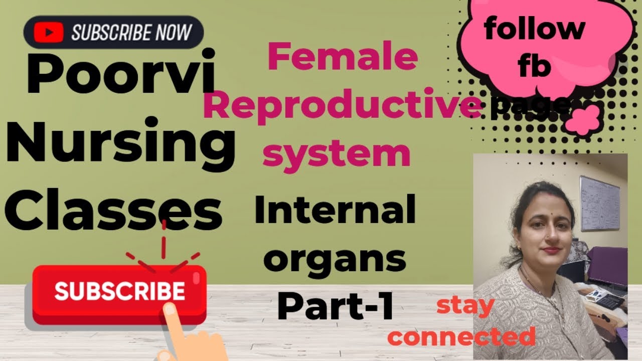 Female Reproductive system 