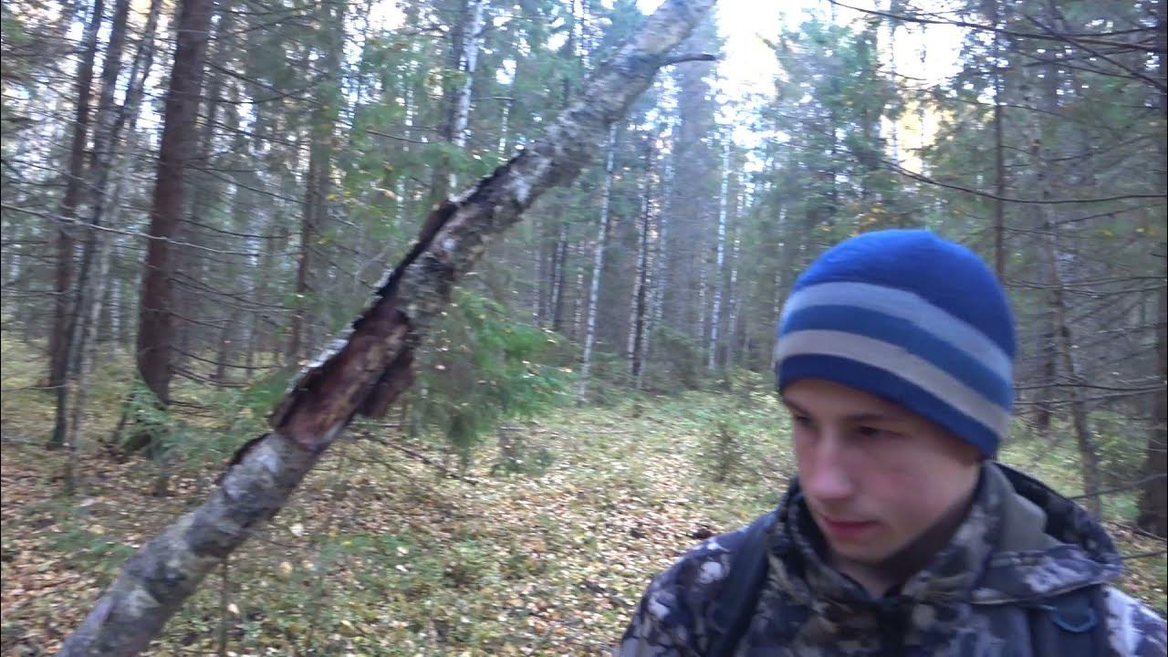 ярославский охотник серега свежее видео.