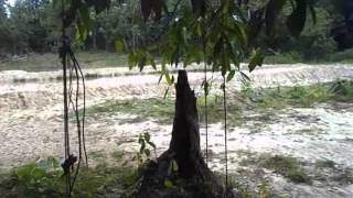 J.Mizan - Desa Permai