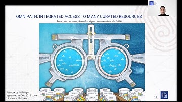 Webinar: Logic modelling of signalling networks – CellNOpt and CARNIVAL