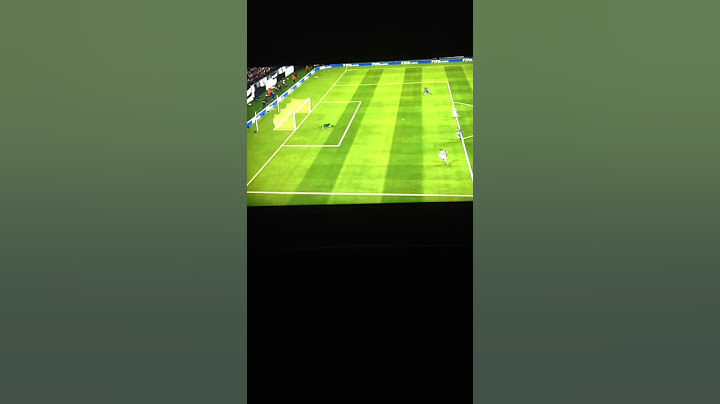 Andreas pereira