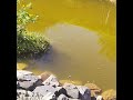 teich im Garten der Sinne