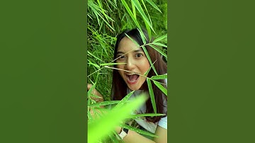 Dinosaurus Nyeremin Mulu dari Dulu, Gaes #anakit #programmer #softwarehouse #aplikasi #startup #meme