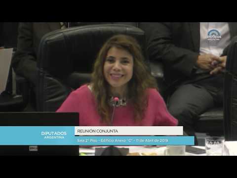 COMISIÓN COMPLETA: H. Cámara de Diputados de la Nación - 11 de abril de 2019