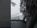 🎅🦌🦌🍾🛷🎁🎁🌟💫🎄❄️