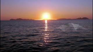 Born Free - Andy Williams