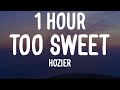 Hozier - Too Sweet (1 HOUR/Lyrics)