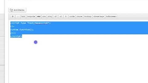 Adding JavaScript to WordPress
