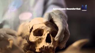 Viasat History Eastern Europe - Apocalypse Neanderthal - Promo