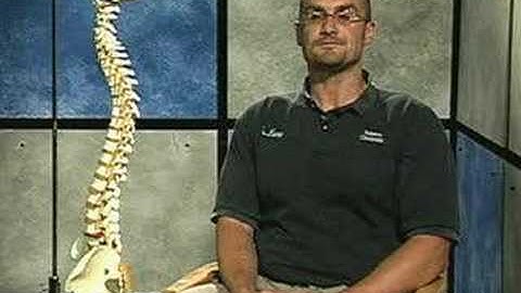 Proactive vs. Reactive Health Care