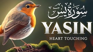 Surah yaseen(yasin) |سورۃ یٰسٓ | Ep : 003 | Relaxing and Peaceful Recitation🎧 | Arabic Subtitle