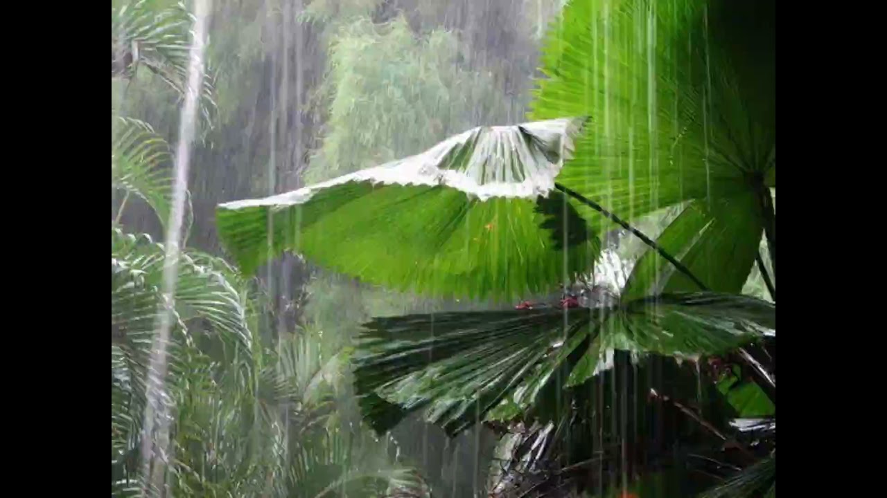 ماهر المعيقلي سورة البقرة صوت المطر   إصدار جديد Surah Al-Baqara Maher Muaiqly new edition with rain