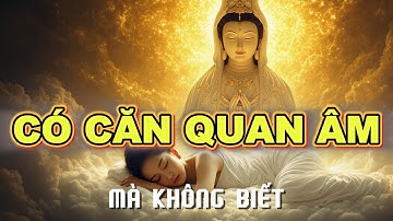 7 Dấu Hiệu Cho Thấy Bạn Đã Được Mẹ Quan Âm Chọn Từ Kiếp Trước