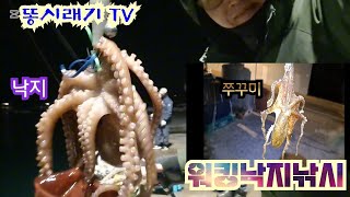 오랜만에 출조. 낙지랑 쭈꾸미 잡고 왔습니다