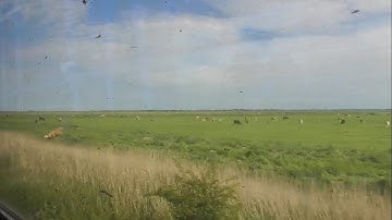 Wherry Lines  Great Yarmouth Branch, June 2019, Part 1