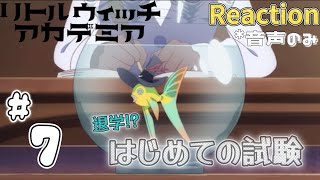 リトルウィッチアカデミア 同時視聴